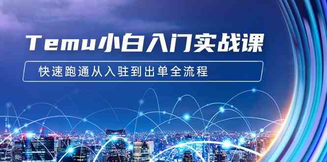 （9295期）Temu小白入门实战课：跨境拼多多电商培训 快速跑通从入驻到出单全流程-12节-星创网